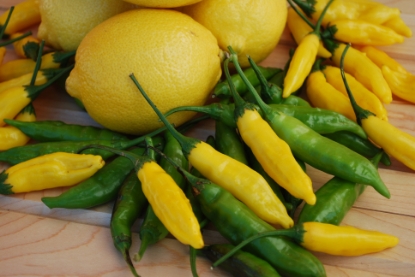Picture of Hot Lemon Chilli Pepper